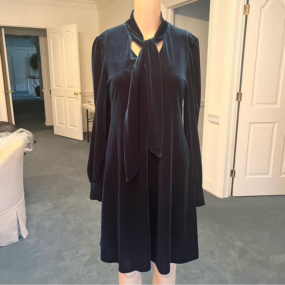Calvin Klein Dark Green Velvet Long Sleeve Dress with Necktie